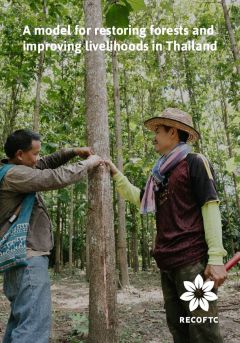 A model for restoring forests and improving livelihoods in Thailand 