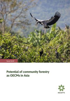 Potential of community forestry as OECMs in Asia