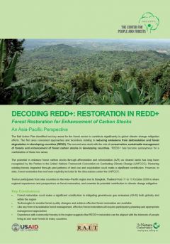 Decoding REDD: Forest Restoration in REDD+