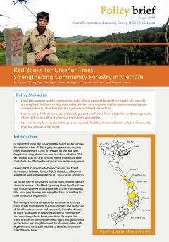 Red Books for Greener Trees: Strengthening Community Forestry in Vietnam 