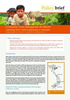 Community Forestry Management for Whom? Learning from Field Experience in Vietnam