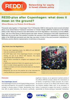 REDD-Net COP 15 Briefing