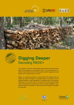Digging Deeper: Decoding REDD+