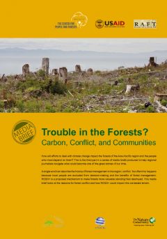 Trouble in the Forests? Carbon, Conflict, and Communities