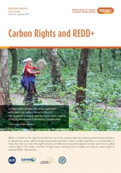 REDD-Net Asia-Pacific Bulletin #3: Carbon Rights and REDD+