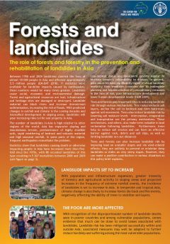 Forests and Landslides: The Role of Forests and Forestry in the Prevention and Rehabilitation of Landslides in Asia