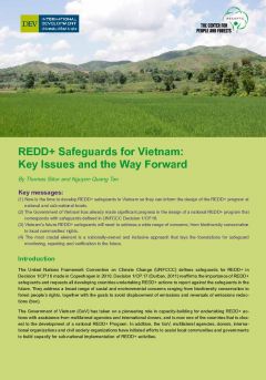 REDD+ Safeguards for Vietnam: Key Issues and the Way Forward