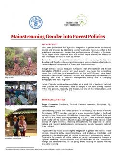 Mainstreaming Gender into Forest Policies