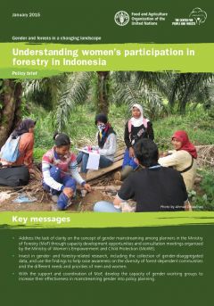 Understanding Women's Participation in Forestry in Indonesia