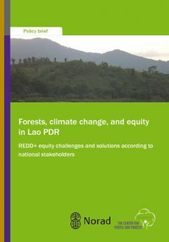 Forests, Climate Change, and Equity in Lao PDR: REDD+ Equity Challenges and Solutions According to National Stakeholders