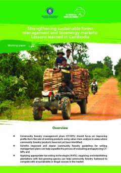 Strengthening Sustainable Forest Management and Bioenergy Markets: Lessons Learned in Cambodia