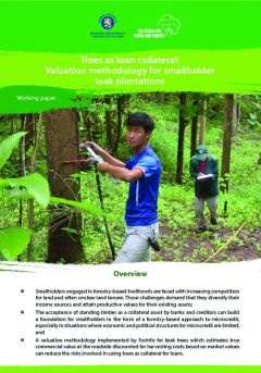 Trees as Loan Collateral: Valuation Methodology for Smallholder Teak Plantations