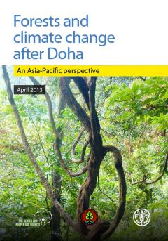 Forests and Climate Change After Doha: An Asia-Pacific Perspective