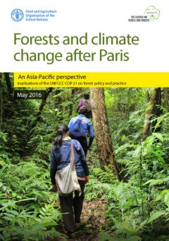 Forests and climate change after Paris - An Asia-Pacific perspective