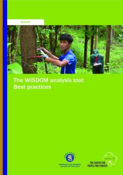 The WISDOM Analysis Tool: Best Practices