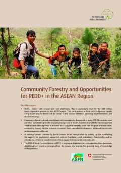 Community Forestry and Opportunities for REDD+ in the ASEAN Region