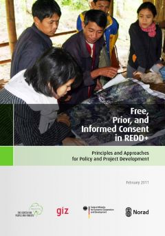 Free, Prior, and Informed Consent in REDD+: Principles and Approaches for Policy and Project Development