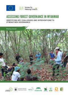 Assessing Forest Governance in Myanmar