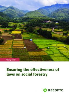 Ensuring the effectiveness of laws on social forestry